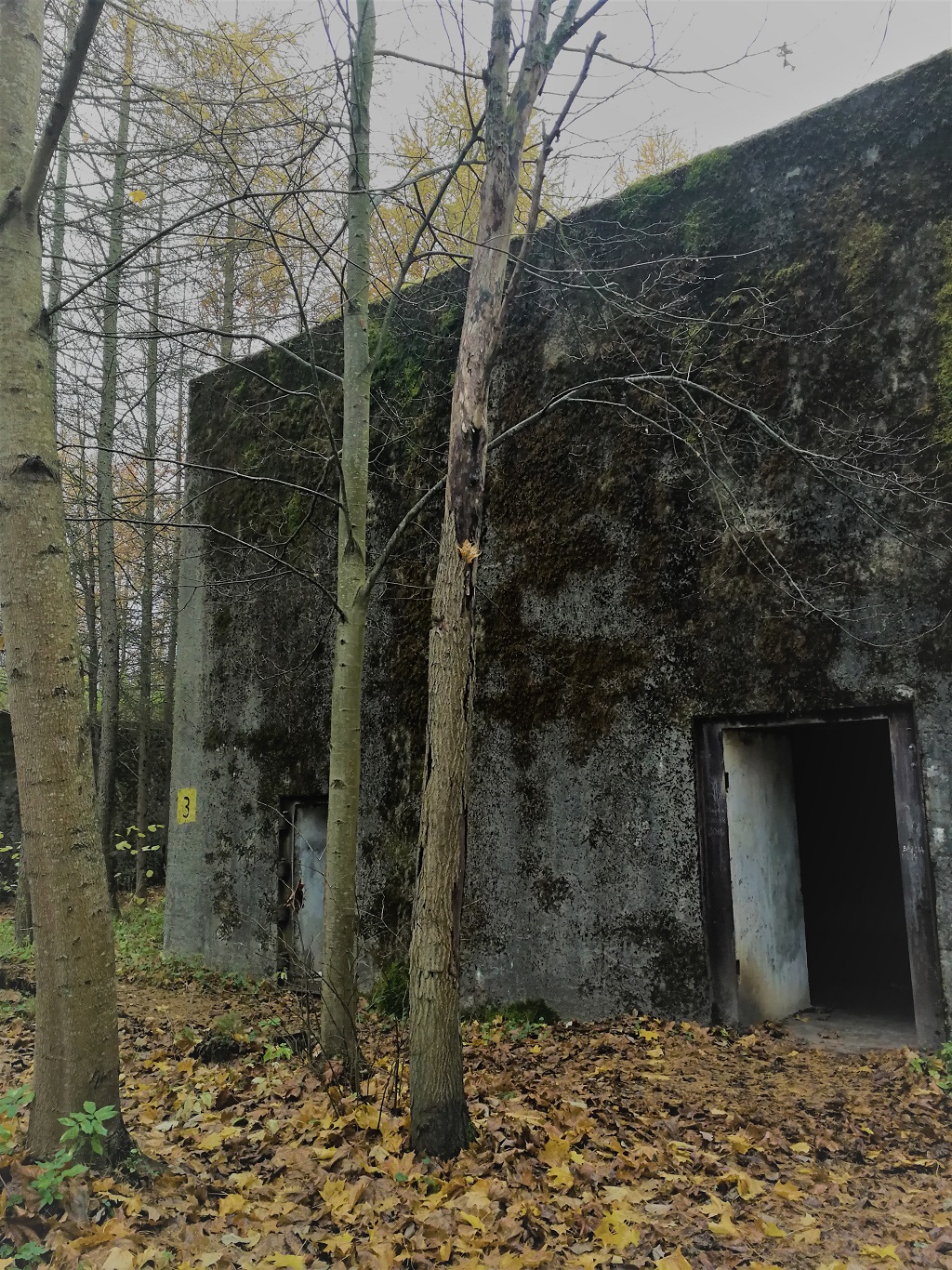 Węgorzewo atrakcje: siedziba Wermachtu, bunkry Mazury